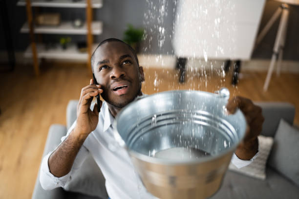 Best Commercial water damage restoration  in Albion, MI