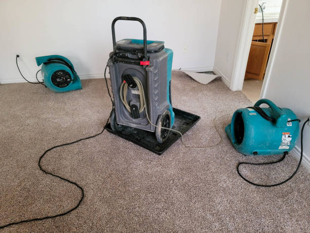 Best Fire Damage Restoration  in Albion, MI