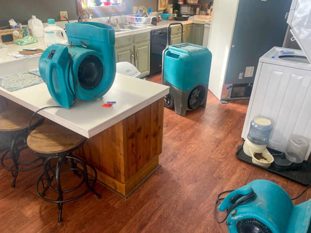 Best Ceiling water damage repair  in Albion, MI