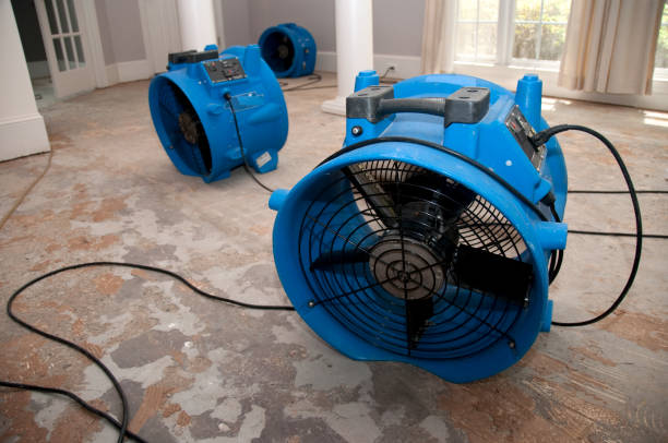 Best Professional water damage repair  in Albion, MI