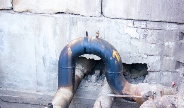 Best Basement water damage restoration  in Albion, MI