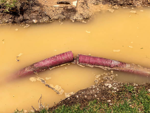 Best Residential water damage restoration  in Albion, MI